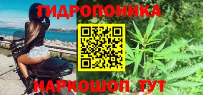 спиды Свободный
