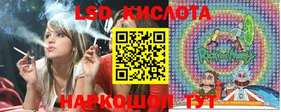 прущие грибы Севастополь