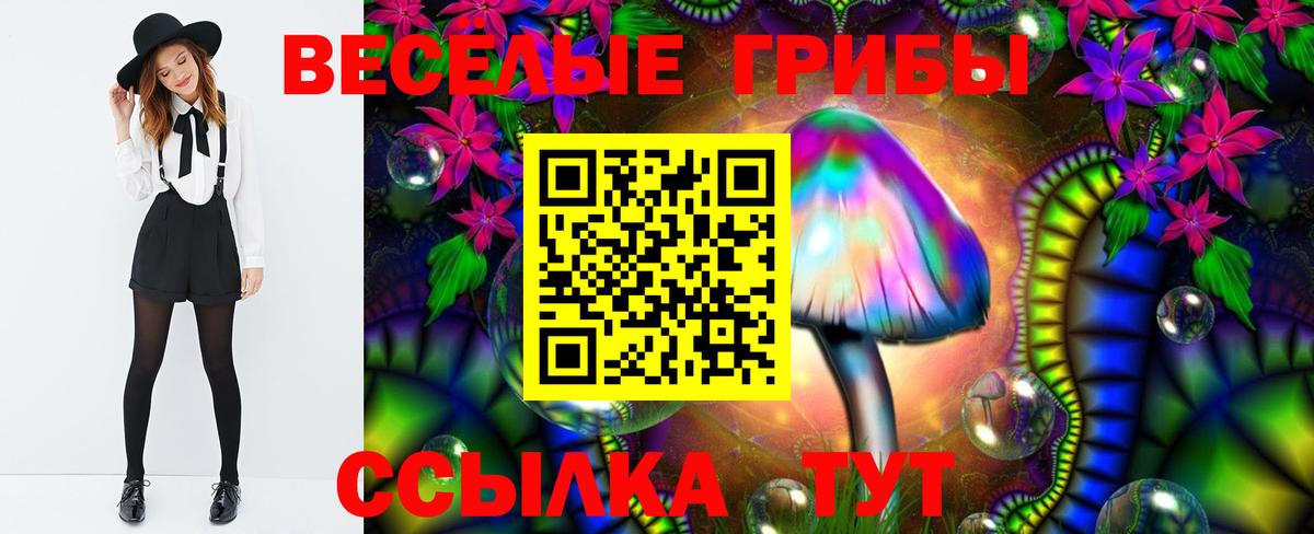 Галлюциногенные грибы GOLDEN TEACHER Норильск